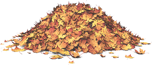 Pile of Fall Leaves